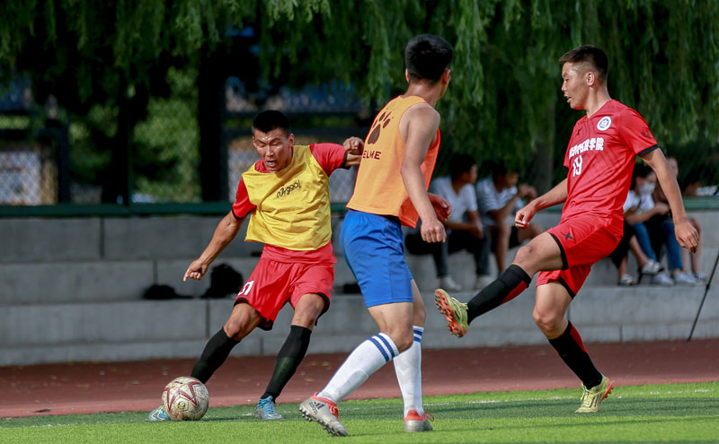 佩德里：梅西是我心中的最佳 期望与他再次并肩作战（佩德里：梅西在我心中无可替代，盼再度与他并肩作战）